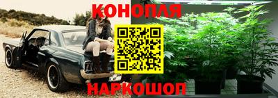 стафф Тверь
