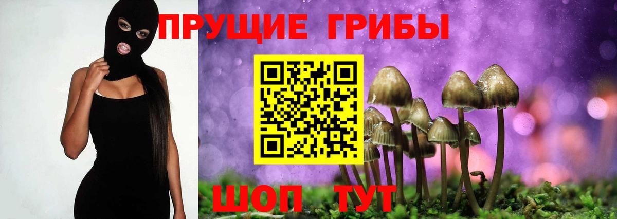 Галлюциногенные грибы прущие грибы Павловский Посад